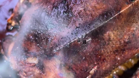 Smoke comes out of the roasted goose Video stock 221784537