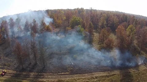 Smoke coming from controlled fire in the woods Video stock 43737882