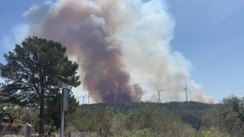 Smoke coming up during a forest fire in Spain Stock Footage 277533489