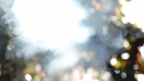 Smoke coming out of the grass 11 Stock Footage 321200892