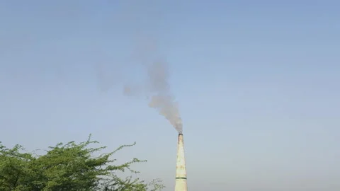 Smoke coming out of smoke stack next to tree Stock Footage 269509307