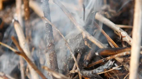 Smoke coming from under the dry branches Stock-Footage 49941434