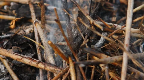 Smoke coming from under the dry branches Video stock 49941440