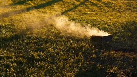 Smoke curl over sunlit green field Stock Footage 90458933