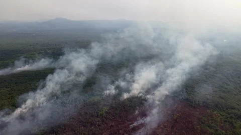 Smoke curls over a burning forest 動画素材 332599078