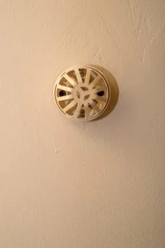 Smoke detector on a ceiling Foto stock