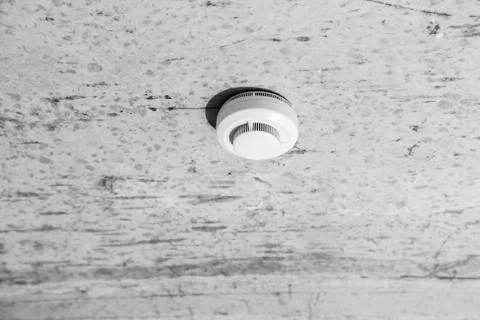 Smoke detector on the ceiling. Rough finish. Stock Photos