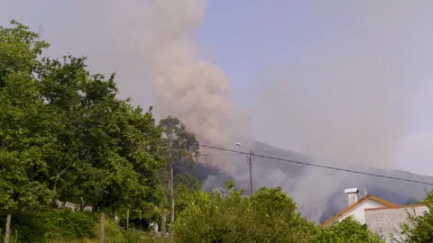 Smoke develops in a forest fire behind houses. 動画素材 311106840