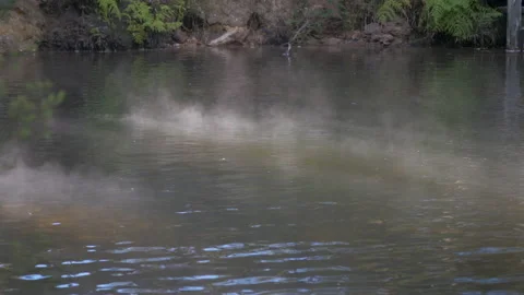Smoke disperses over a hot spring, in New Zealand Stock Footage 220029751