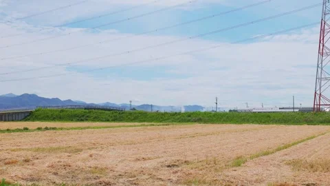 Smoke from distant field burning beyond a harvested wheat field, Ogori, Fukuoka Vídeos de archivo 335279648