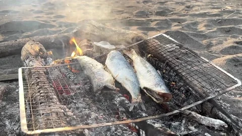 Smoke drifting over freshly caught fish on beach barbecue Stock Footage 217436739