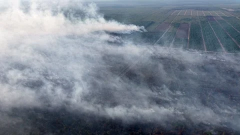 Smoke drifts over burning fields Stock-Footage 337544073