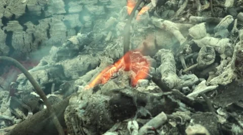 Smoke, dry twigs burning, fire burning. Coals of wood burned 스톡 동영상 59751350