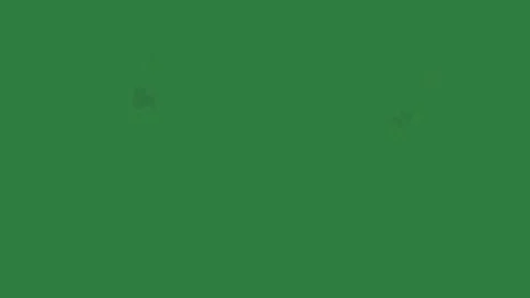 Smoke Dynamic - Chroma Key Green Screen Footage Stock Footage 338015105