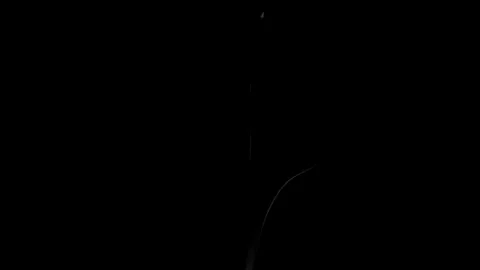 Smoke Effect on black background Stock Footage 98681356