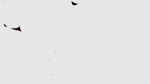 Smoke effect or fire explosion blast. smoke or explosion Stock Footage 145741104