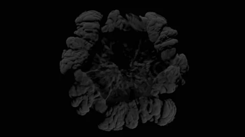 Smoke explosion 1 Stock Footage 221299939