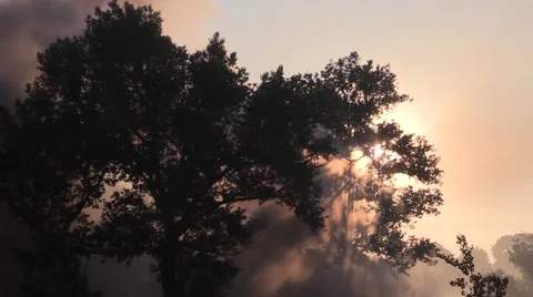 The smoke from the explosions of the war Stock Footage 60205294