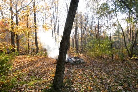 Smoke in the fall trees Stock Photos