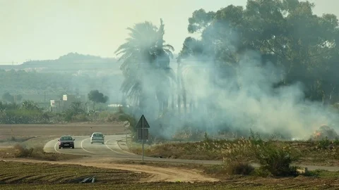 Smoke field Stock Footage 83431697