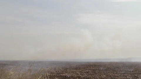 Smoke in the Field Stock Footage 95951025
