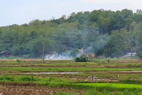 Smoke in the field. Stock Photos