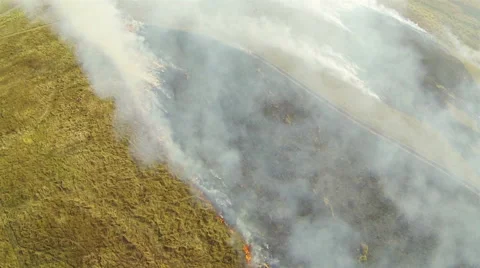 The smoke from the a fire. Aerial view Video stock 41976437