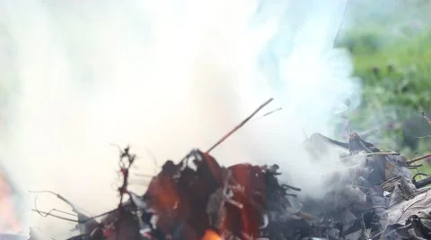 Smoke, fire and bonfire 스톡 동영상 48846746