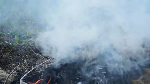 Smoke from a fire and a fire of dry brushwood in the afternoo Stock Footage 132334034