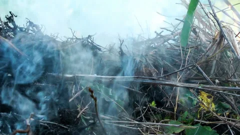 Smoke from a fire-the concept of burning dry branches Stock Footage 134393799