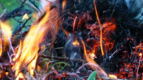 Smoke from a fire-the concept of burning dry branches Stock Footage 134399667