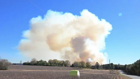 The smoke of fire Stock Footage 321683322