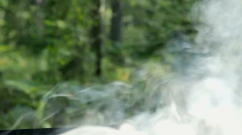 The smoke from the fire in the forest Stock Footage 66677011