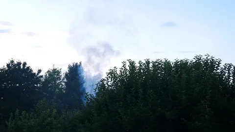 Smoke fire in a forest spread over the trees Stock Footage 113742732