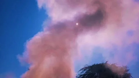 The smoke of fire is going up to the sky Stock Footage 170530482