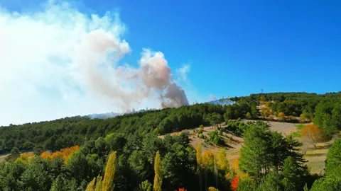 Smoke from the fire that just started in the forest Video stock 291708690