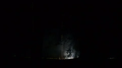 Smoke from the fire in the night forest Stock Footage 62347483