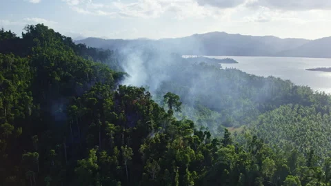Smoke from the fire in rainforest in Asia Stock-Footage 272406122