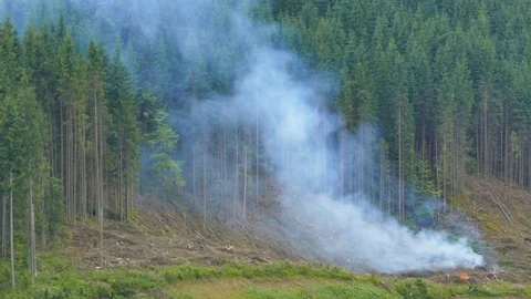 Smoke from a fire rises above a coniferous forest on a mountain slope Stock Footage 78067652