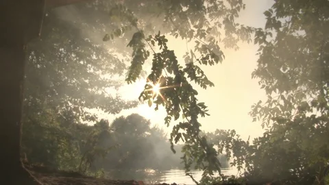 The smoke from the fire rises to the evening sun through the foliage in the Vídeo Stock 104569014