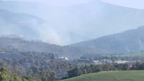 Smoke from a fire sweeping through a forest towards the valley of Echauri. Stock Footage 199311354