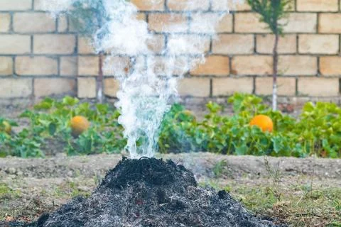 Smoke from a fire when burning dry grass in a garden plot 写真素材