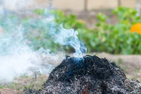 Smoke from a fire when burning dry grass in a garden plot 写真素材