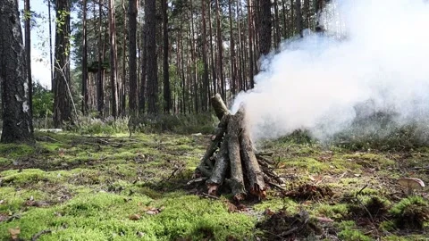 Smoke with fireplace in the forest for heating up Stock Footage 192204440