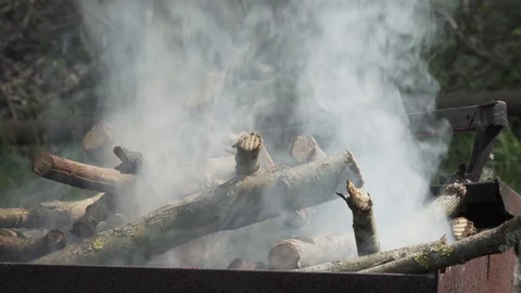 Smoke from firewood in BBQ Stock Footage 89844124