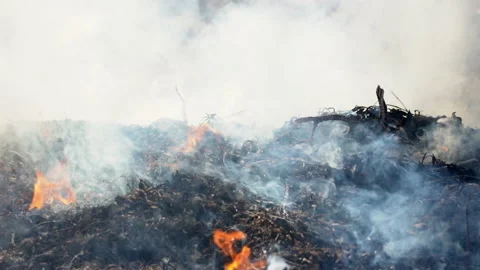 Smoke floating in forest from fire burning on hills 库存影片 148397409