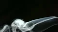smoke HD Footage