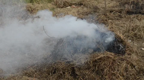 Smoke Stock Footage 35176367