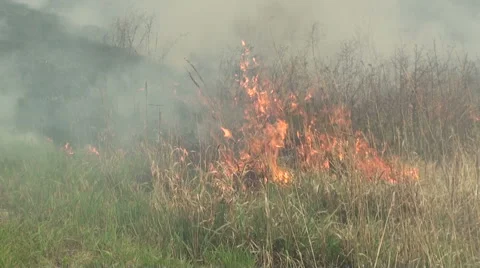 Up in Smoke Stock Footage 54754608