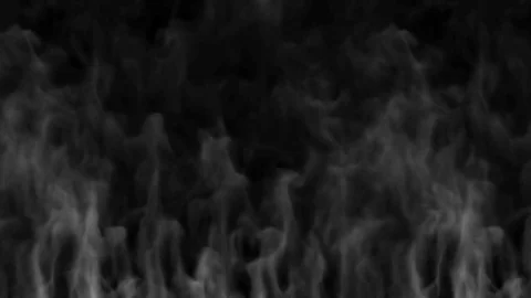 Smoke Video stock 81266047